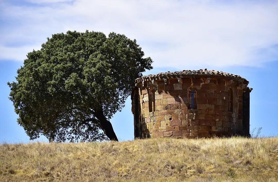 A la sombra de la encina