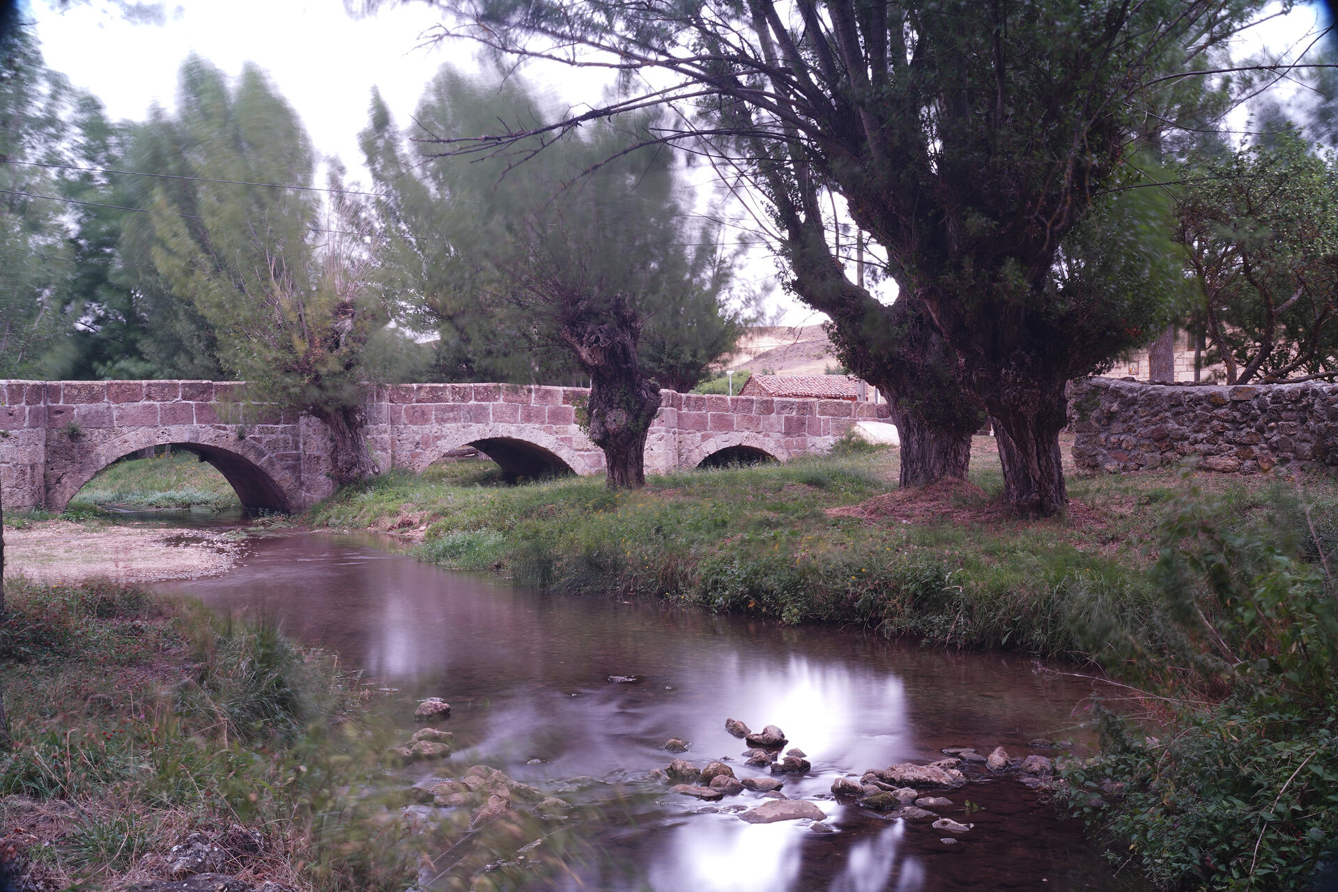 Azote del Cierzo a los Chopos